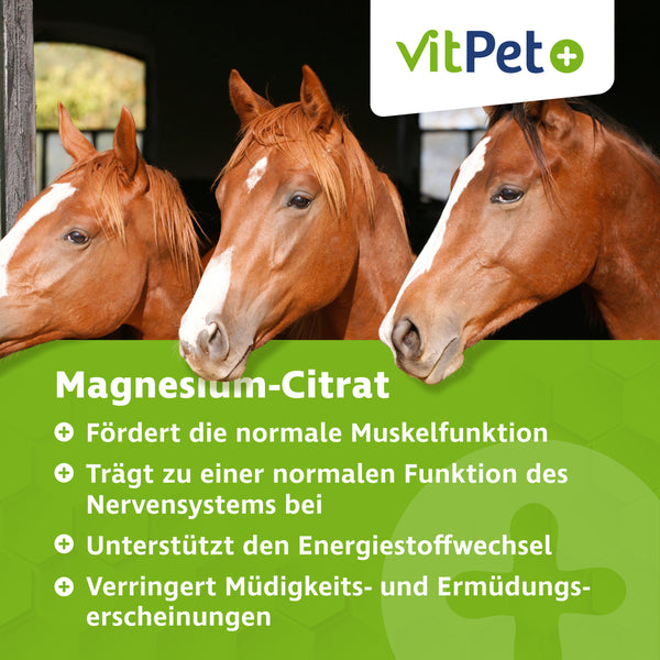 VitPet+ Magnesiumcitrat für Pferde – Premium Magnesium Pulver – 1000 g inkl. Dosierlöffel