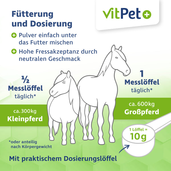 VitPet+ Magnesiumcitrat für Pferde – Premium Magnesium Pulver – 1000 g inkl. Dosierlöffel