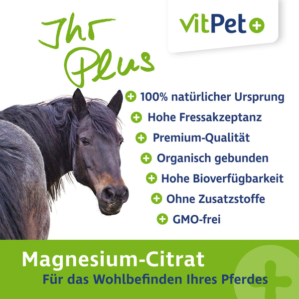 VitPet+ Magnesiumcitrat für Pferde – Premium Magnesium Pulver – 1000 g inkl. Dosierlöffel