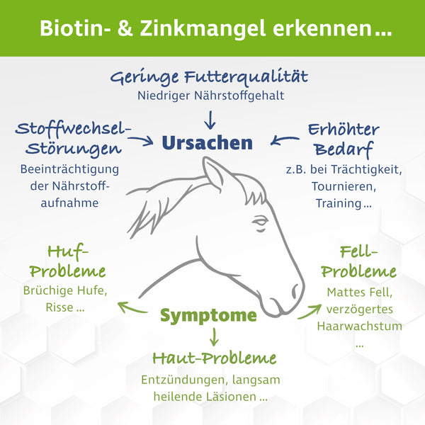 Biotin plus Zink für Pferde – Premium Ergänzungsfuttermittel – 1,2 kg inkl. Dosierlöffel