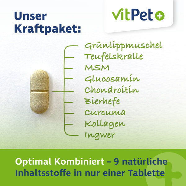 GelenkVit für Hunde – Gelenktabletten mit Grünlippmuschel – 100 Tabletten