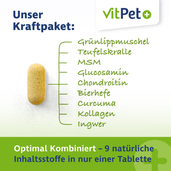 GelenkVit für Hunde – Gelenktabletten mit Grünlippmuschel – 100 Tabletten
