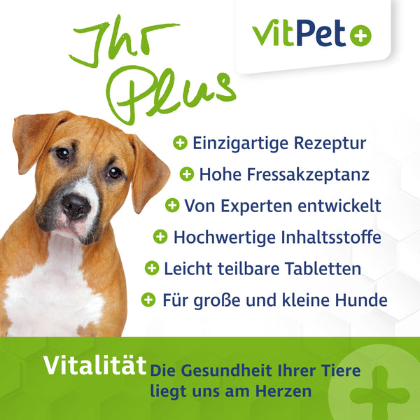 GelenkVit für Hunde – Gelenktabletten mit Grünlippmuschel – 100 Tabletten