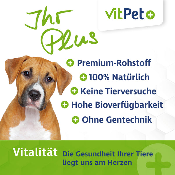 MSM Hund – Premium MSM Pulver für Hunde und Katzen – 300 g inkl. Dosierlöffel