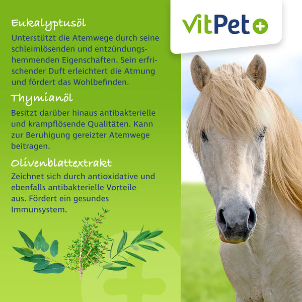 PneumoAir – Aersosol für Pferde – Schleimlösend und beruhigend – 100 ml