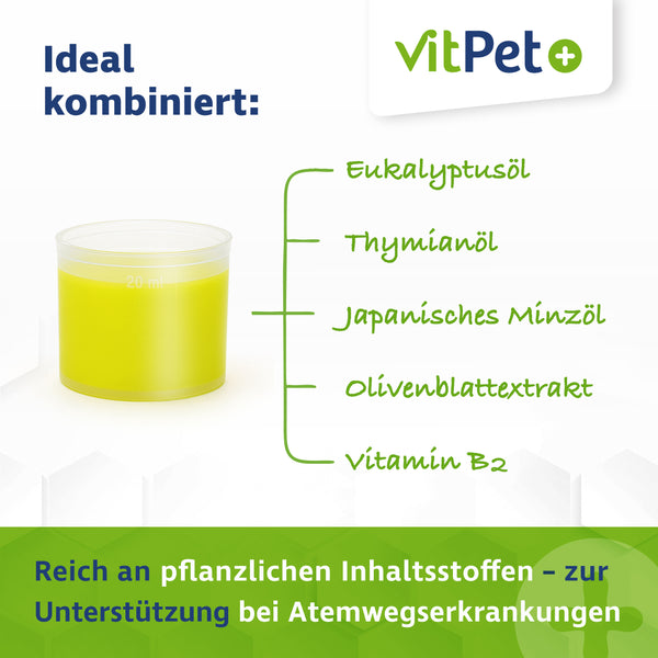 PneumoCare – Hustensaft für Pferde – Mit Eukalyptus & Thymian – 1000 ml