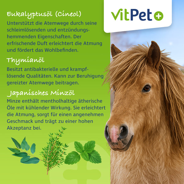 PneumoCare – Hustensaft für Pferde – Mit Eukalyptus & Thymian – 1000 ml