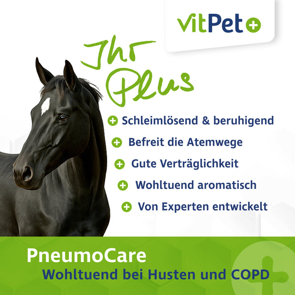 PneumoCare – Hustensaft für Pferde – Mit Eukalyptus & Thymian – 1000 ml