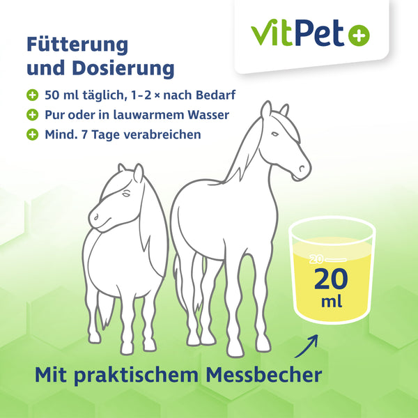 PneumoCare – Hustensaft für Pferde – Mit Eukalyptus & Thymian – 1000 ml