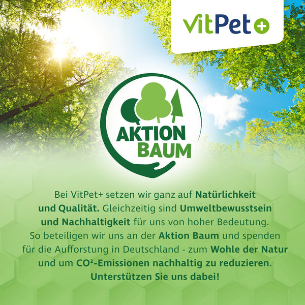 PneumoCare – Hustensaft für Pferde – Mit Eukalyptus & Thymian – 1000 ml