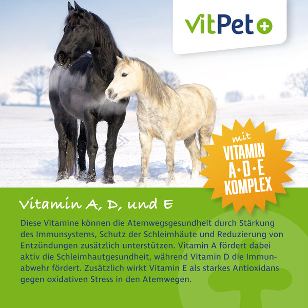 PneumoVit – Zur Unterstützung von Atemwegen – 1,2 kg inkl. Dosierlöffel