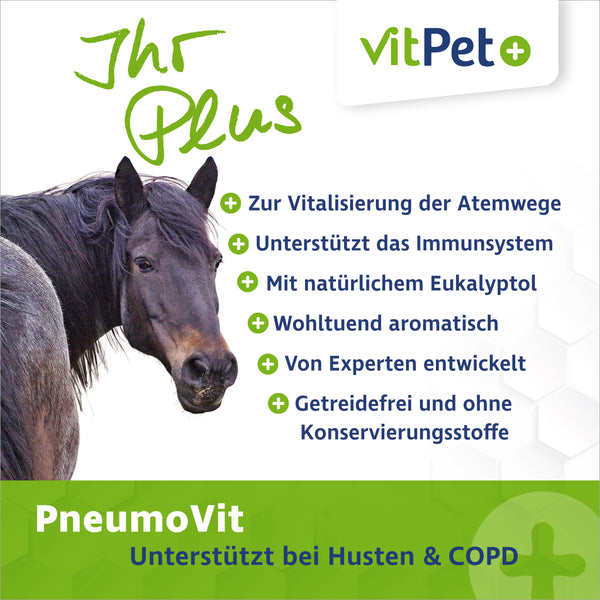 PneumoVit – Zur Unterstützung von Atemwegen – 1,2 kg inkl. Dosierlöffel