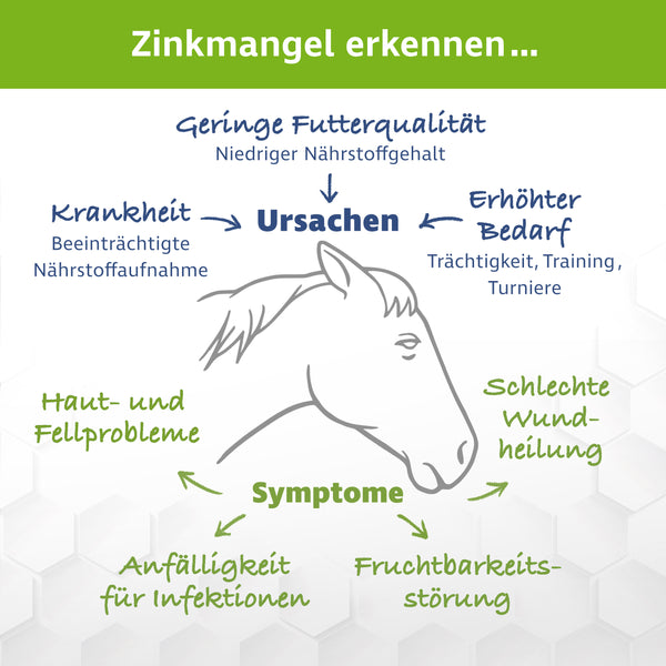 Zink Forte Plus – Hochdosiertes Zink, Selen und Kupfer – 1,8 kg inkl. Dosierlöffel