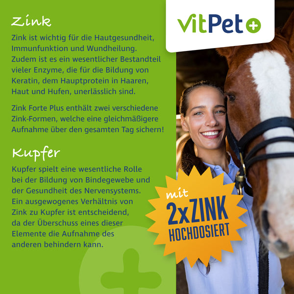 Zink Forte Plus – Hochdosiertes Zink, Selen und Kupfer – 1,8 kg inkl. Dosierlöffel