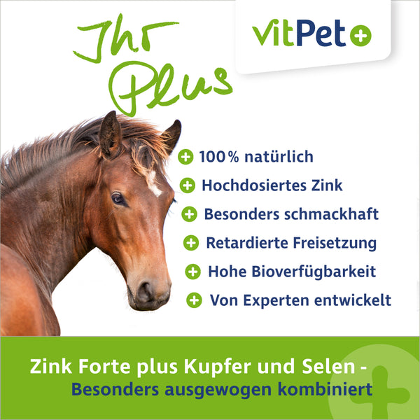Zink Forte Plus – Hochdosiertes Zink, Selen und Kupfer – 1,8 kg inkl. Dosierlöffel