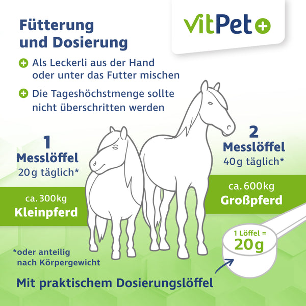 Zink Forte Plus – Hochdosiertes Zink, Selen und Kupfer – 1,8 kg inkl. Dosierlöffel