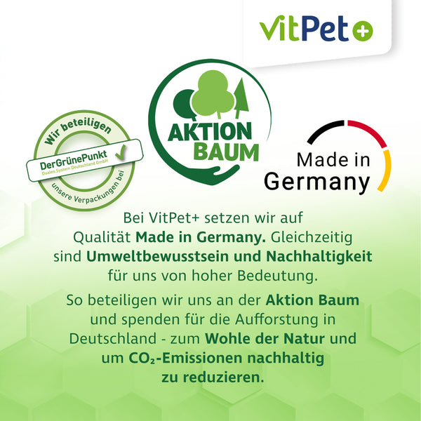 Zink Forte Plus – Hochdosiertes Zink, Selen und Kupfer – 1,8 kg inkl. Dosierlöffel