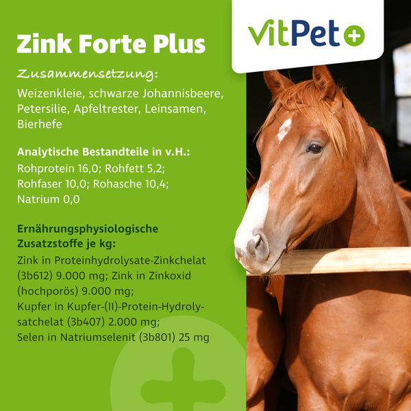 Zink Forte Plus – Hochdosiertes Zink, Selen und Kupfer – 1,8 kg inkl. Dosierlöffel