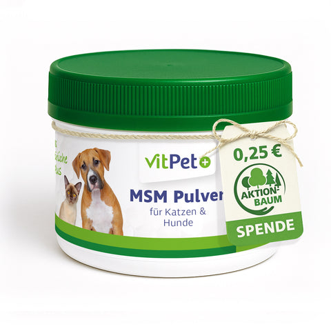 MSM Hund – Premium MSM Pulver für Hunde und Katzen – 300 g inkl. Dosierlöffel