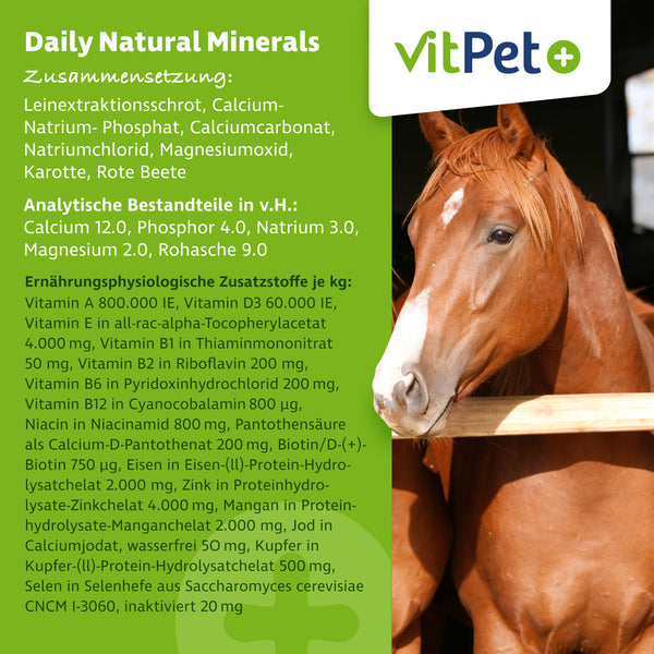 Daily Natural Minerals für Pferde – Premium Mineralfutter – im 4 kg Eimer inkl. Dosierlöffel