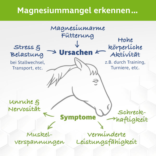 Magnesiumcitrat für Pferde – Premium Pulver – in der 500 g Dose inkl. Dosierlöffel
