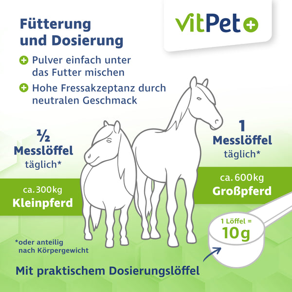 Magnesiumcitrat für Pferde – Premium Pulver – in der 500 g Dose inkl. Dosierlöffel