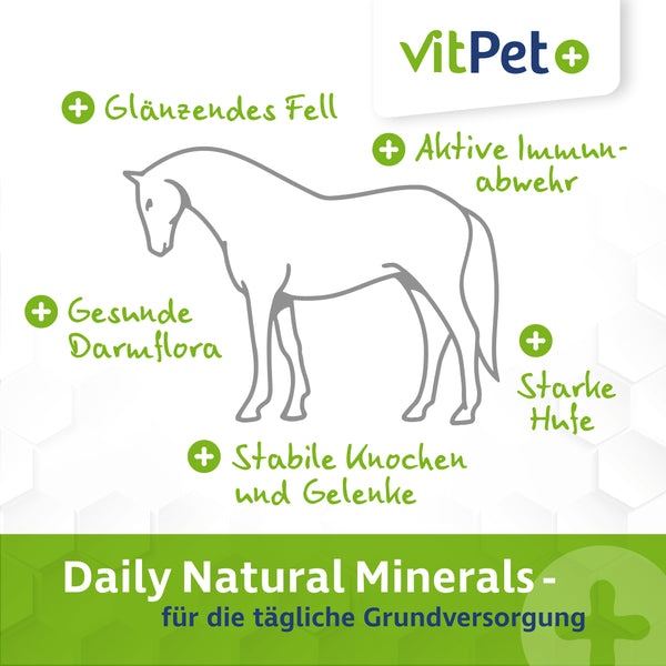 Daily Natural Minerals für Pferde – Premium Mineralfutter – im 4 kg Eimer inkl. Dosierlöffel