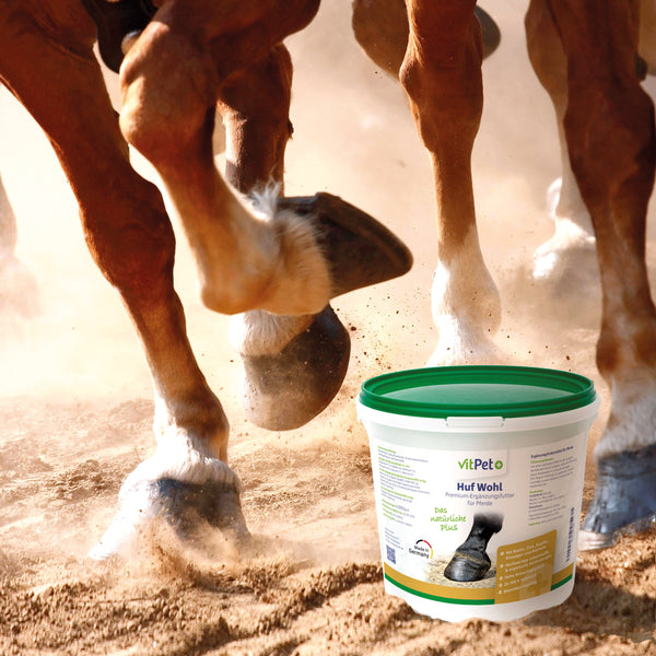 Huf Wohl für Pferde – Premium Ergänzungsfuttermittel – im 4 kg Eimer inkl. Dosierlöffel
