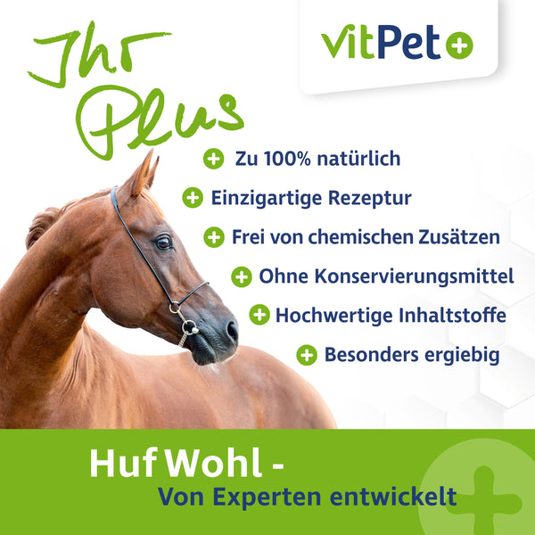 Huf Wohl für Pferde – Premium Ergänzungsfuttermittel – im 4 kg Eimer inkl. Dosierlöffel